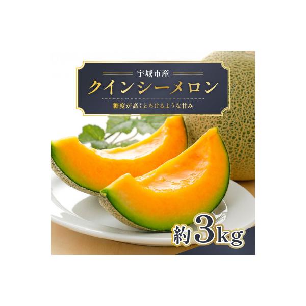 ふるさと納税 宇城市 熊本産クインシーメロン2玉約3kg(宇城市)