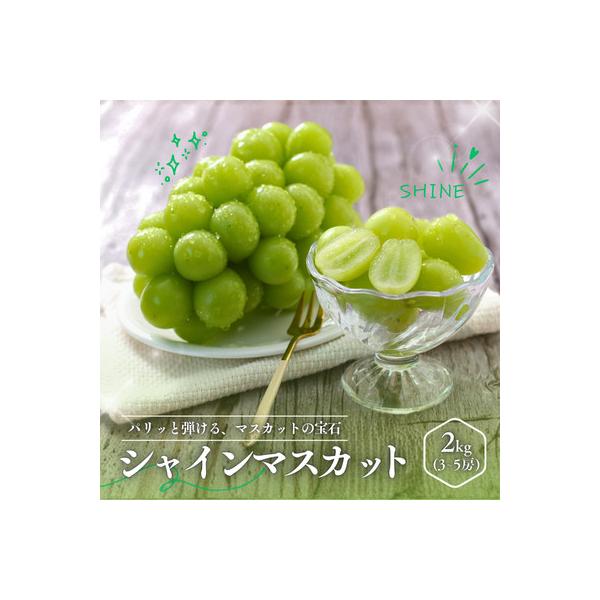 ふるさと納税 松川町 ぶどう シャインマスカット(長野県産秀品)2kg
