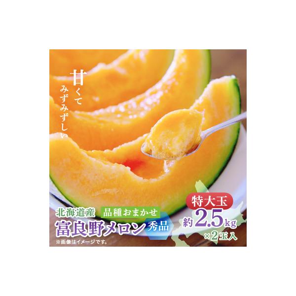 ふるさと納税 富良野市 【2027年発送先行受付】富良野メロン(赤肉) 秀品2玉 計5kg〜