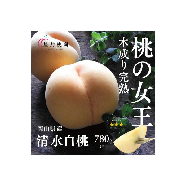 ふるさと納税 津山市 先行受付【清水白桃】岡山県産 三つ星 星乃桃園 780g (3玉)