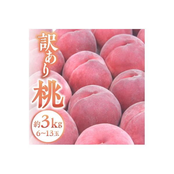 ■お礼品詳細　・配送種別：冷蔵便■お申し込み・配送・その他　・発送時期：2026/6/25〜2026/9/9（お届け時間帯指定可）　・申込受付期間：〜2026/8/20　・配達外のエリア：離島、沖縄県　・寄付証明書の送付時期目安：申込完了日...