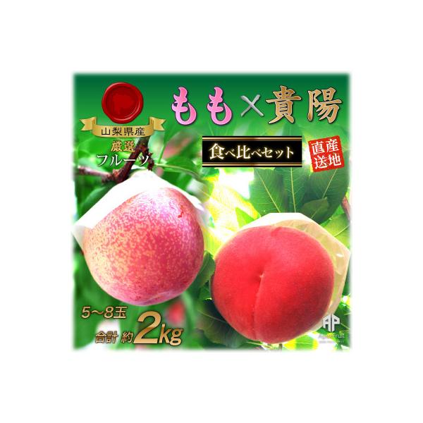 ■お礼品詳細　・配送種別：冷蔵便■お申し込み・配送・その他　・発送時期：2026/7/15〜2026/8/20（お届け時間帯指定可）　・申込受付期間：〜2026/8/5　・配達外のエリア：離島、沖縄県　・寄付証明書の送付時期目安：申込完了日...
