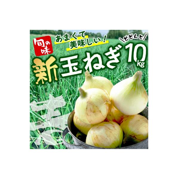 ■お礼品詳細　・配送種別：通常■お申し込み・配送・その他　・発送時期：2026-04-28〜2026-05-28（お届け時間帯指定可）　・申込受付期間：〜2026-05-22　・配達外のエリア：　・寄付証明書の送付時期目安：申込完了日から２...