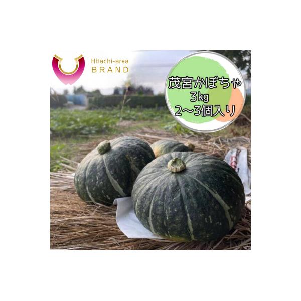 ■お礼品詳細　・配送種別：通常■お申し込み・配送・その他　・発送時期：2026-06-19〜2026-07-31（お届け時間帯指定可）　・申込受付期間：〜2026-07-15　・配達外のエリア：　・寄付証明書の送付時期目安：申込完了日から２...