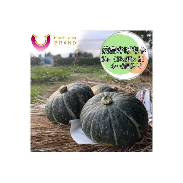 ■お礼品詳細　・配送種別：通常■お申し込み・配送・その他　・発送時期：2026/06/19〜2026/07/31（お届け時間帯指定可）　・申込受付期間：〜2026-07-15　・配達外のエリア：　・寄付証明書の送付時期目安：申込完了日から２...