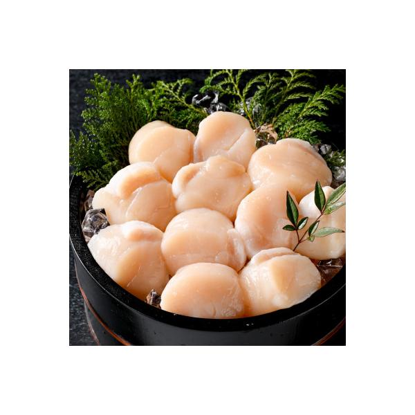 ふるさと納税 別海町 個包装 ホタテ貝柱500g 大玉(L)10〜13玉前後 贈答にもおススメな北海道産野付産帆立