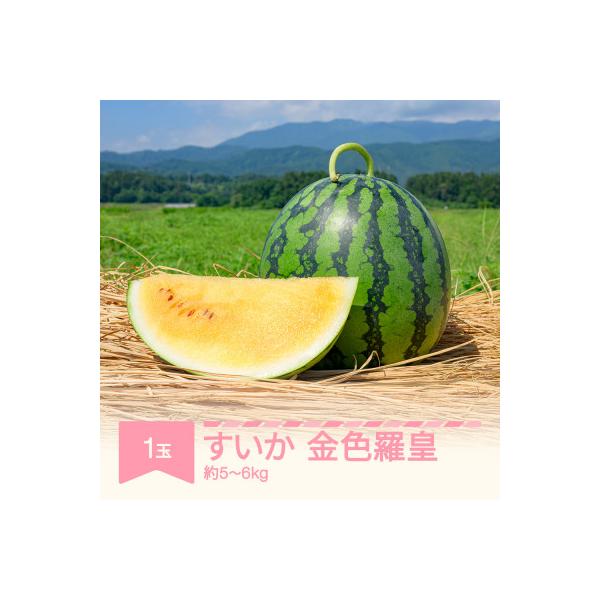 ■お礼品詳細　・配送種別：通常■お申し込み・配送・その他　・発送時期：2026-07-21〜2026-08-17（お届け時間帯指定可）　・申込受付期間：〜2026-07-31　・配達外のエリア：離島、沖縄県　・寄付証明書の送付時期目安：申込...