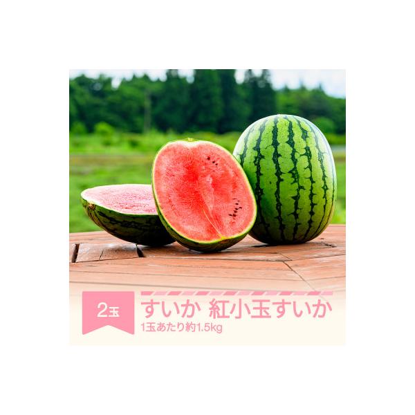 ■お礼品詳細　・配送種別：通常■お申し込み・配送・その他　・発送時期：2026-07-15〜2026-07-31（お届け時間帯指定可）　・申込受付期間：〜2026-07-10　・配達外のエリア：離島、沖縄県　・寄付証明書の送付時期目安：申込...