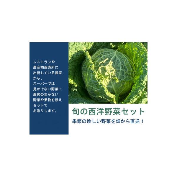■お礼品詳細　・配送種別：冷蔵便■お申し込み・配送・その他　・発送時期：2025-06-30〜2026-02-28（お届け時間帯指定可）　・申込受付期間：2025-06-01〜2026-02-20　・配達外のエリア：離島　・寄付証明書の送付...
