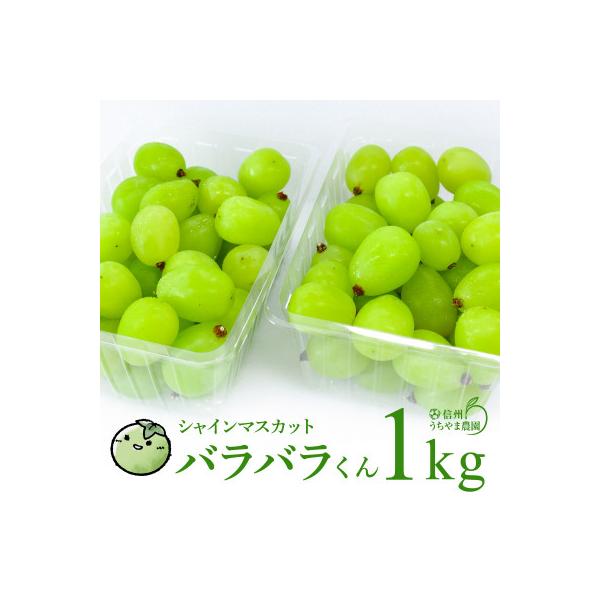 シャインマスカット5kg 詰み落とし訳ありバラ粒【冷蔵発送】2026-13 ふるさと納税 長野県 【2026年11月より発送予定】訳あり品☆冷蔵