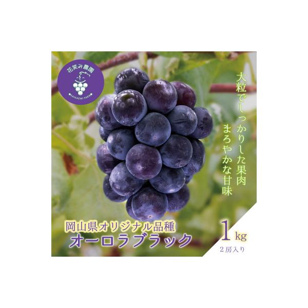 ■お礼品詳細　・配送種別：冷蔵便■お申し込み・配送・その他　・発送時期：2026-08-29〜2026-11-05（お届け時間帯指定可）　・申込受付期間：〜2026-10-21　・配達外のエリア：離島、北海道、沖縄県　・寄付証明書の送付時期...