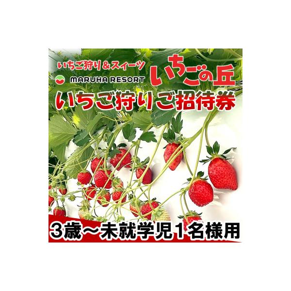 ■お礼品詳細　・配送種別：通常■お申し込み・配送・その他　・発送時期：お申込みから1週間程度で順次発送予定（お届け時間帯指定可）　・申込受付期間：通年　・配達外のエリア：　・寄付証明書の送付時期目安：申込完了日から２週間程度　・提供元：株式...