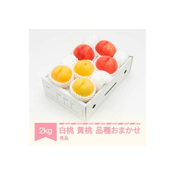 ■お礼品詳細　・配送種別：冷蔵便■お申し込み・配送・その他　・発送時期：2026-08-01〜2026-09-30（お届け時間帯指定可）　・申込受付期間：〜2026-09-10　・配達外のエリア：離島、沖縄県　・寄付証明書の送付時期目安：申...