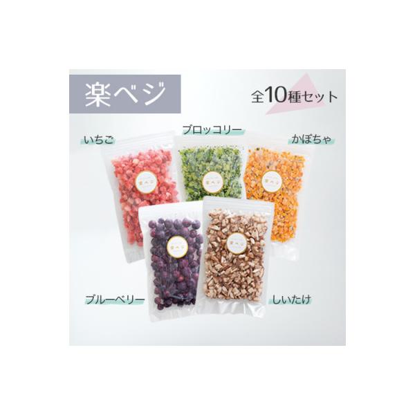 ■お礼品詳細　・配送種別：冷凍便■お申し込み・配送・その他　・発送時期：お申込みより1〜2週間程度で順次発送予定（お届け時間帯指定可）　・申込受付期間：通年　・配達外のエリア：離島　・寄付証明書の送付時期目安：申込完了日から２週間程度　・提...