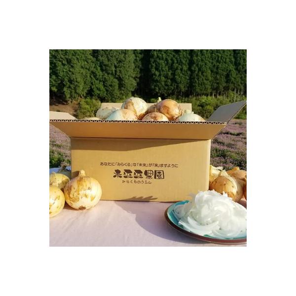 ■お礼品詳細　・配送種別：通常■お申し込み・配送・その他　・発送時期：2026-05-01〜2026-05-20（お届け時間帯指定可）　・申込受付期間：2025-07-25〜2026-05-09　・配達外のエリア：　・寄付証明書の送付時期目...