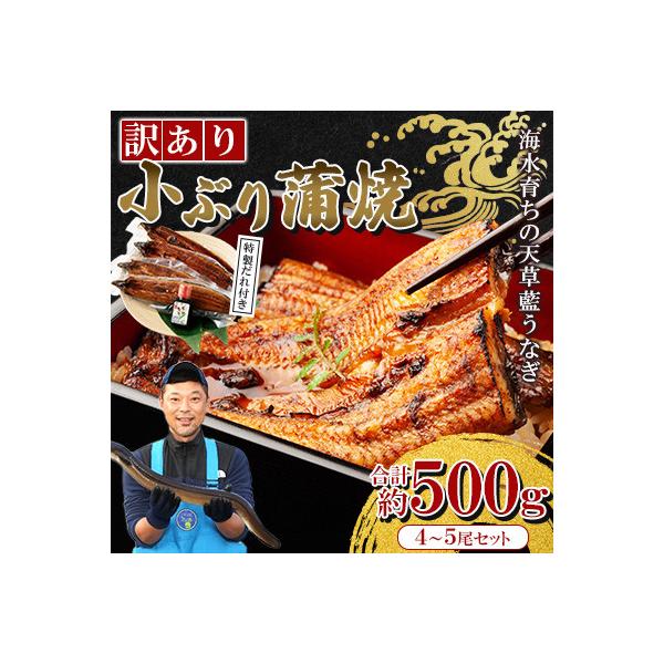 ふるさと納税 上天草市 <熊本地震復興応援>【訳あり】【プロが愛用】海水育ちの天草 藍うなぎ蒲焼 500g