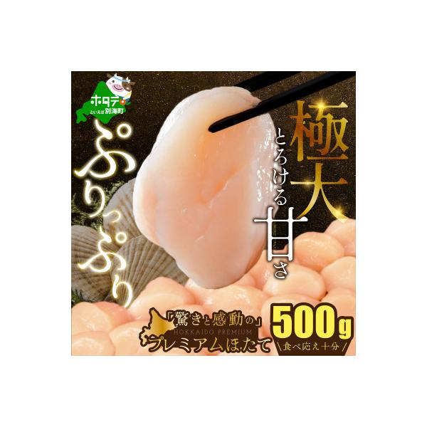 ふるさと納税 別海町 【希少プレミアム】わずか3%贅沢極大ホタテ貝柱500g 北海道野付産ならでは ホタテといえば別海
