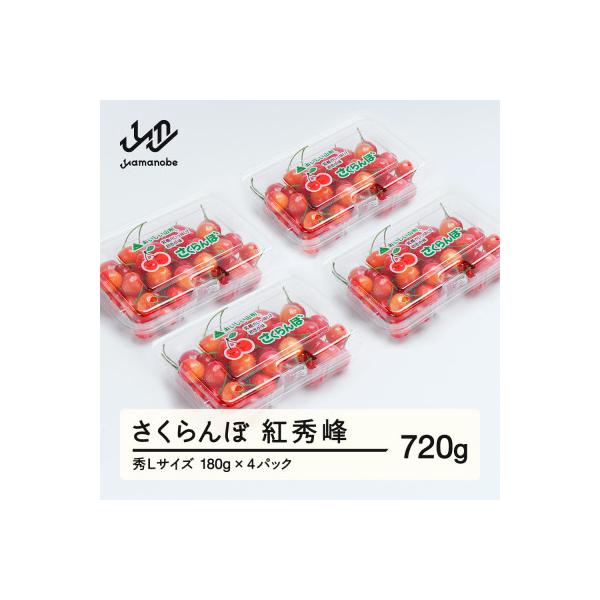 ■お礼品詳細　・配送種別：冷蔵便■お申し込み・配送・その他　・発送時期：2026/06/11〜2026/07/10（お届け時間帯指定可）　・申込受付期間：〜2026-05-31　・配達外のエリア：離島、沖縄県　・寄付証明書の送付時期目安：申...