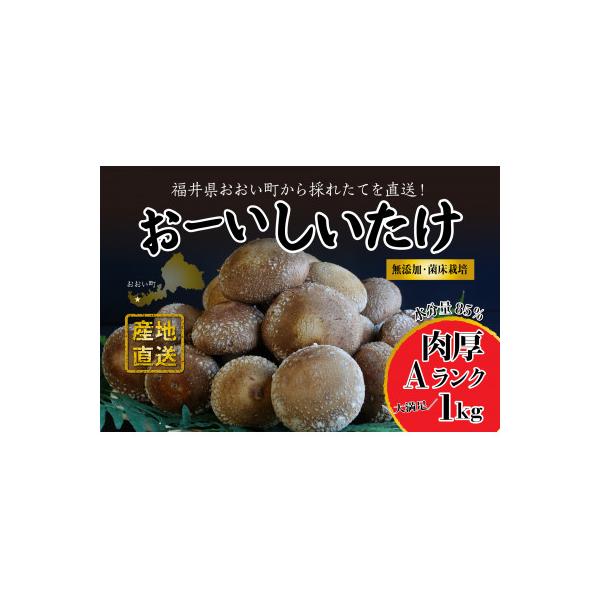 ふるさと納税 おおい町 おーいしいたけ　約1kg(1箱)水分量85%のこだわり無添加福井県おおい町産の生しいたけ