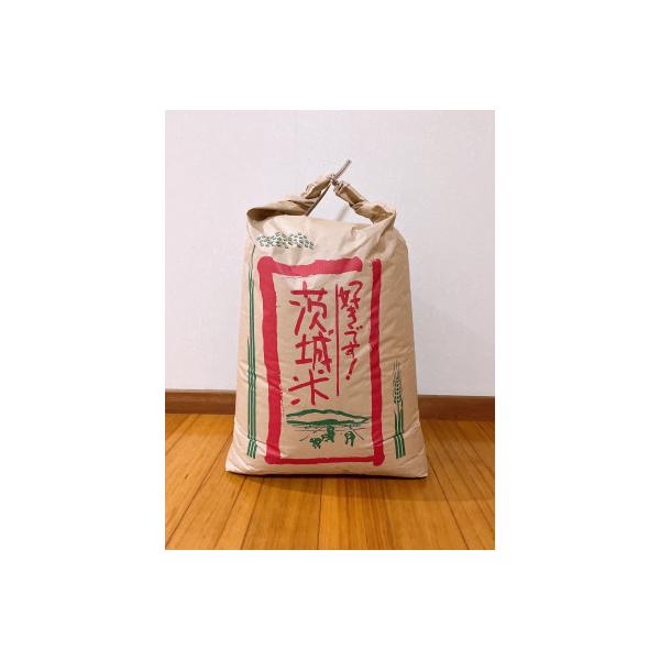 ふるさと納税 石岡市 【令和7年産】獅子米 ゆうだい21 玄米 30kg