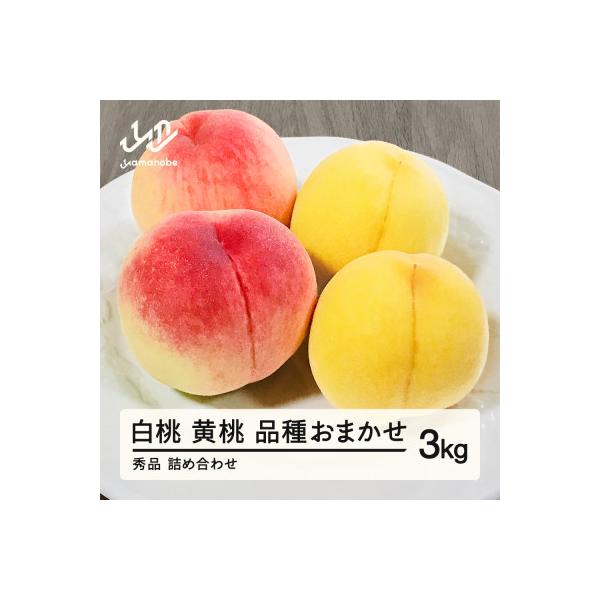 ■お礼品詳細　・配送種別：冷蔵便■お申し込み・配送・その他　・発送時期：2026/08/10〜2026/09/30（お届け時間帯指定可）　・申込受付期間：〜2026-07-31　・配達外のエリア：離島、沖縄県　・寄付証明書の送付時期目安：申...