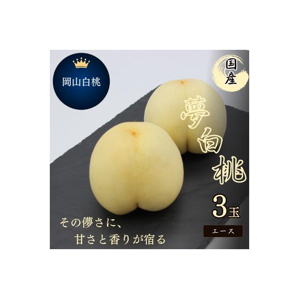 ■お礼品詳細　・配送種別：冷蔵便■お申し込み・配送・その他　・発送時期：2026-07-10〜2026-08-30（お届け時間帯指定可）　・申込受付期間：〜2026-08-10　・配達外のエリア：離島　・寄付証明書の送付時期目安：申込完了日...