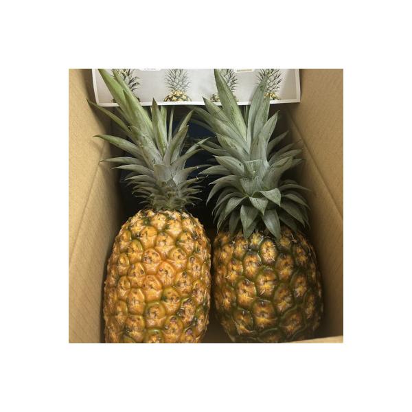 ■お礼品詳細　・配送種別：冷蔵便■お申し込み・配送・その他　・発送時期：2026-07-15〜2026-08-15（お届け時間帯指定可）　・申込受付期間：〜2026-07-31　・配達外のエリア：離島　・寄付証明書の送付時期目安：申込完了日...