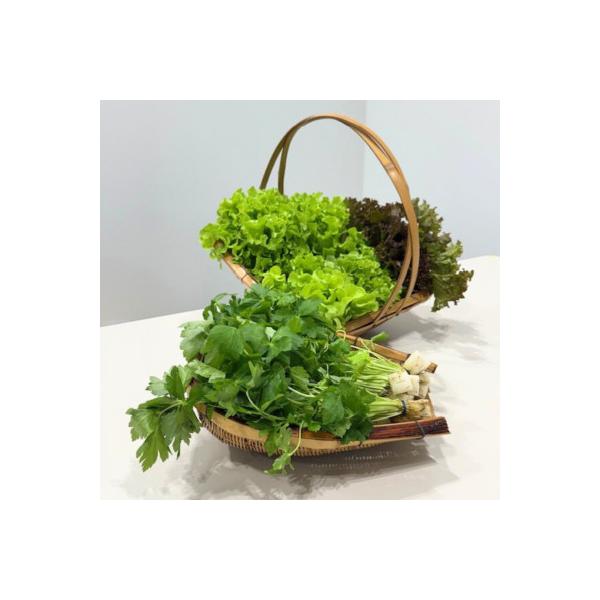 ■お礼品詳細　・配送種別：冷蔵便■お申し込み・配送・その他　・発送時期：2025-12-01〜2026-04-30（お届け時間帯指定可）　・申込受付期間：2025-11-01〜2026-04-10　・配達外のエリア：離島、北海道、沖縄県　・...