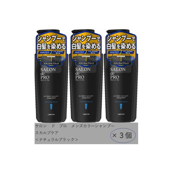 ふるさと納税 稲沢市 ダリヤ サロン ド プロ メンズカラーシャンプー