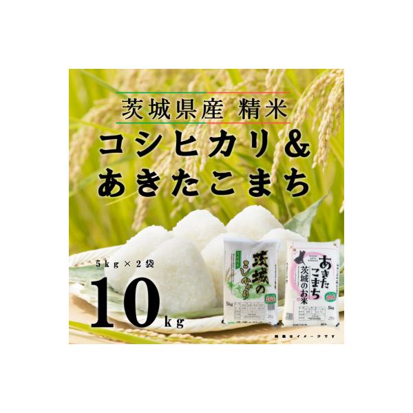 ふるさと納税 五霞町 【令和7年産】こしひかり あきたこまち 精米 10kg