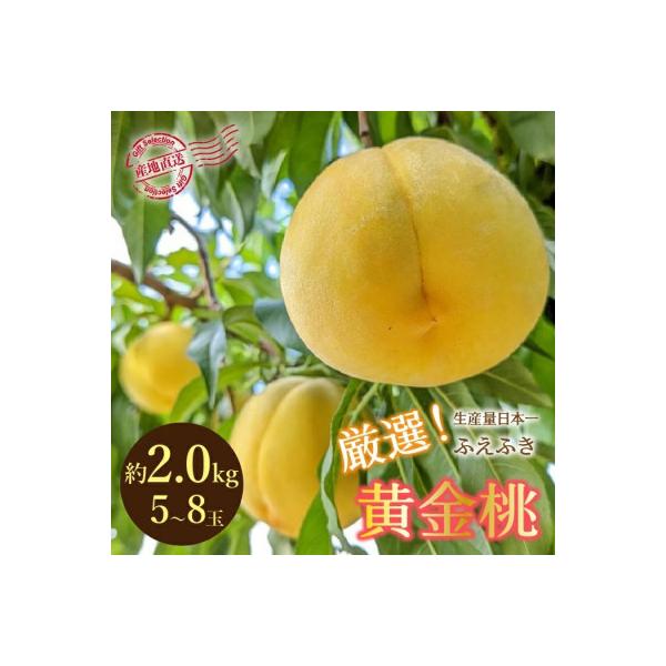 ■お礼品詳細　・配送種別：冷蔵便■お申し込み・配送・その他　・発送時期：2026/08/17〜2026/09/30（お届け時間帯指定可）　・申込受付期間：〜2026-08-15　・配達外のエリア：離島、沖縄県　・寄付証明書の送付時期目安：申...