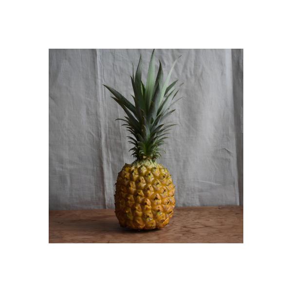 ■お礼品詳細　・配送種別：冷蔵便■お申し込み・配送・その他　・発送時期：2026-07-20〜2026-08-31　・申込受付期間：〜2026-08-15　・配達外のエリア：離島　・寄付証明書の送付時期目安：申込完了日から２週間程度　・提供...