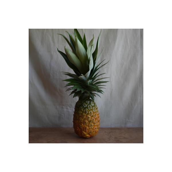 ■お礼品詳細　・配送種別：冷蔵便■お申し込み・配送・その他　・発送時期：2026-08-15〜2026-09-30（お届け時間帯指定可）　・申込受付期間：〜2026-08-31　・配達外のエリア：離島　・寄付証明書の送付時期目安：申込完了日...