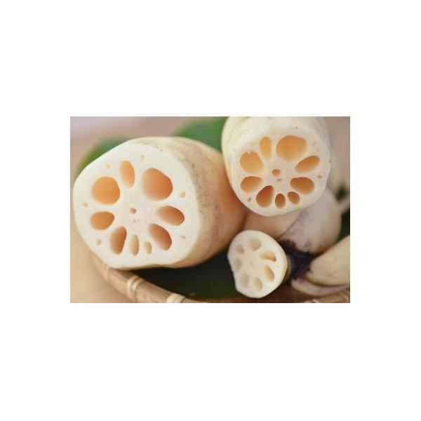 ■お礼品詳細　・配送種別：冷蔵便■お申し込み・配送・その他　・発送時期：2026/01/08〜2026/3/18（お届け時間帯指定可）　・申込受付期間：2025/12/25〜2026/3/10　・配達外のエリア：離島　・寄付証明書の送付時期...