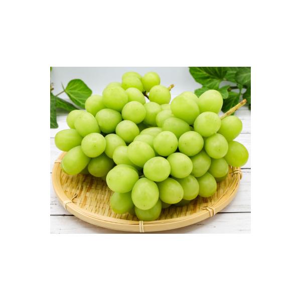 ■お礼品詳細　・配送種別：冷蔵便■お申し込み・配送・その他　・発送時期：2026/09/01〜2026/09/06（お届け時間帯指定可）　・申込受付期間：2025-11-01〜2026-08-31　・配達外のエリア：離島、北海道、沖縄県　・...