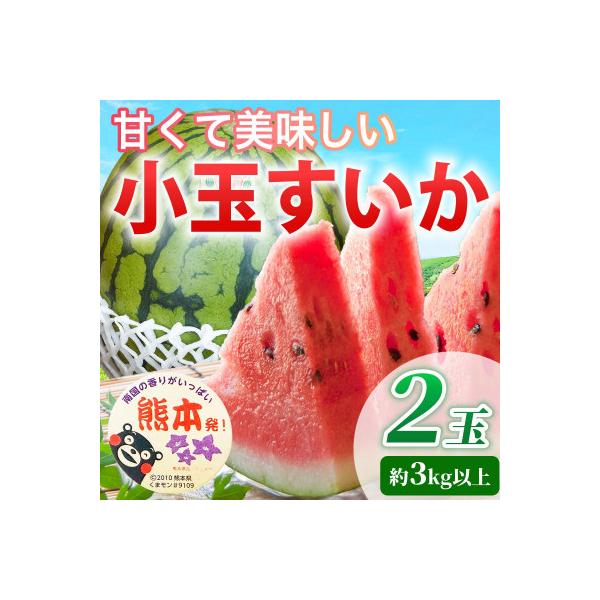 ■お礼品詳細　・配送種別：通常■お申し込み・配送・その他　・発送時期：2026-04-20〜2026-07-31（お届け時間帯指定可）　・申込受付期間：2025-10-31〜2026-07-15　・配達外のエリア：　・寄付証明書の送付時期目...