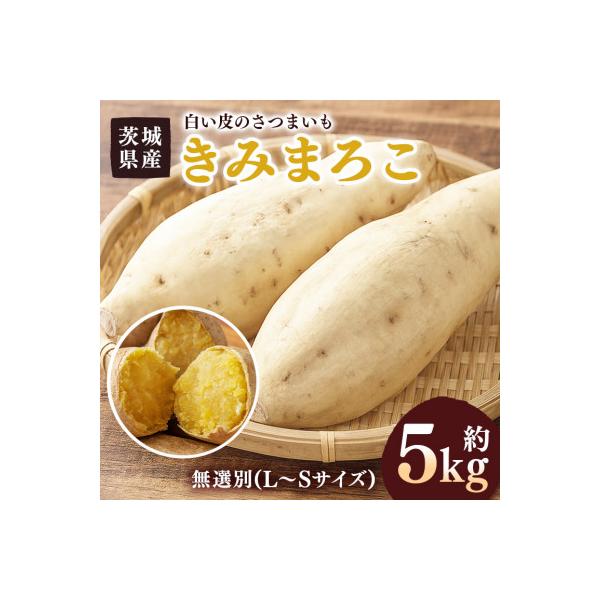 ふるさと納税 潮来市 さつまいも きみまろこ 約5kg 無選別(L~Sサイズ)