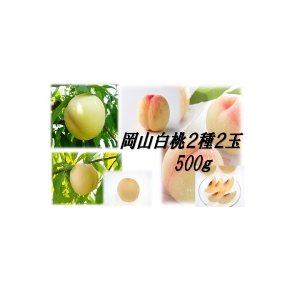 ■お礼品詳細　・配送種別：冷蔵便■お申し込み・配送・その他　・発送時期：2026-06-29〜2026-07-31（お届け時間帯指定可）　・申込受付期間：〜2026-07-15　・配達外のエリア：離島　・寄付証明書の送付時期目安：申込完了日...