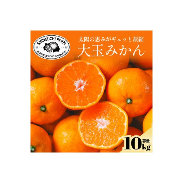 ふるさと納税 八幡浜市 【大玉サイズ限定】五代目が厳選した愛媛みかん