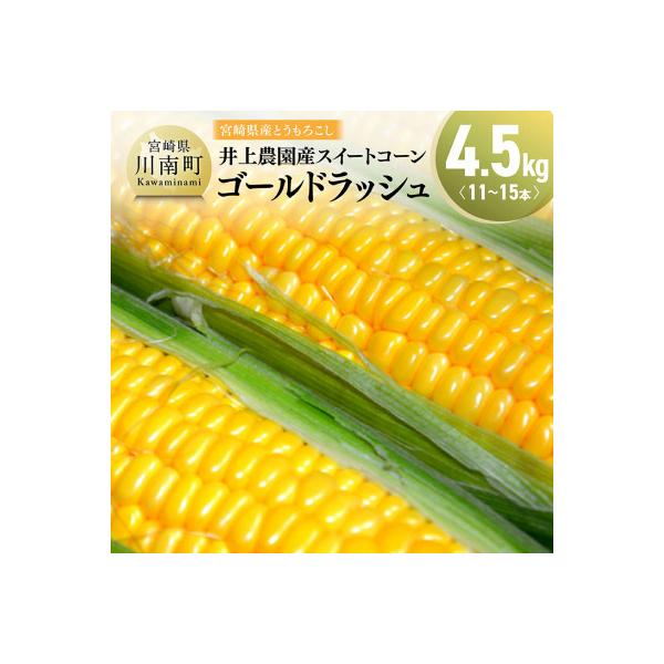■お礼品詳細　・配送種別：冷蔵便■お申し込み・配送・その他　・発送時期：2026-05-15〜2026-06-05（お届け時間帯指定可）　・申込受付期間：〜2026-05-25　・配達外のエリア：離島　・寄付証明書の送付時期目安：申込完了日...