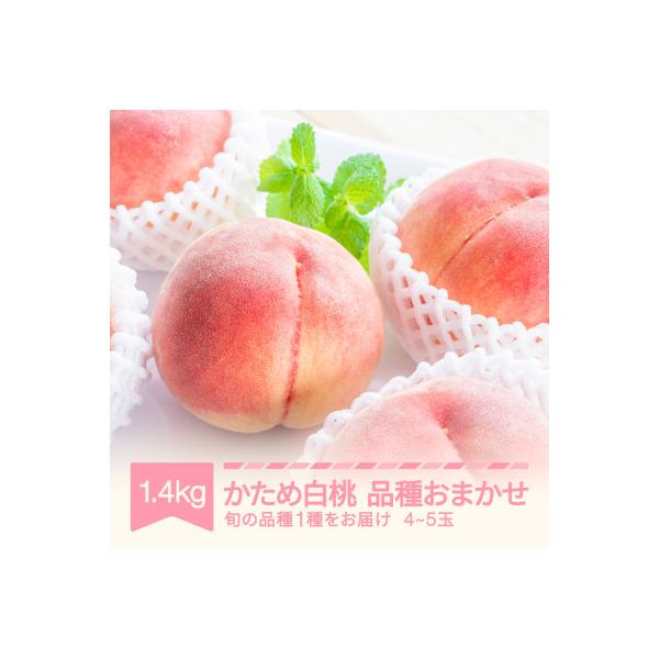 ■お礼品詳細　・配送種別：通常■お申し込み・配送・その他　・発送時期：2026-08-03〜2026-09-30（お届け時間帯指定可）　・申込受付期間：〜2026-09-07　・配達外のエリア：離島、沖縄県　・寄付証明書の送付時期目安：申込...