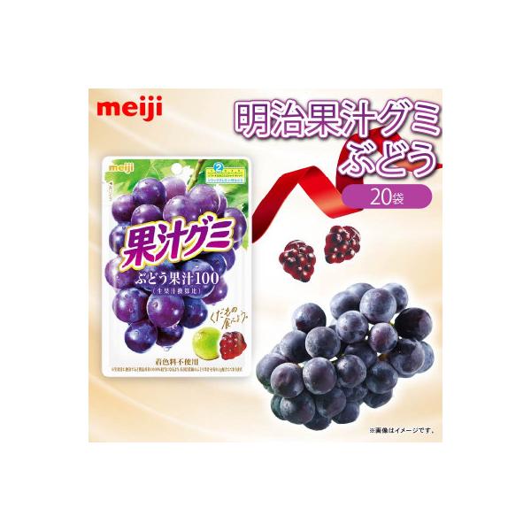 ふるさと納税 藤枝市 明治 果汁グミ ぶどう 54g×20個 着色料不使用