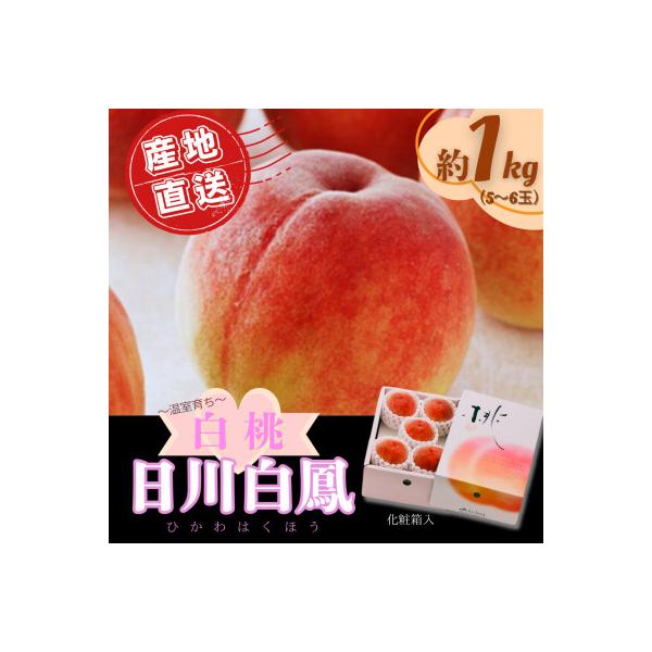 ■お礼品詳細　・配送種別：冷蔵便■お申し込み・配送・その他　・発送時期：2026-06-10〜2026-06-27（お届け時間帯指定可）　・申込受付期間：〜2026-05-31　・配達外のエリア：離島　・寄付証明書の送付時期目安：申込完了日...