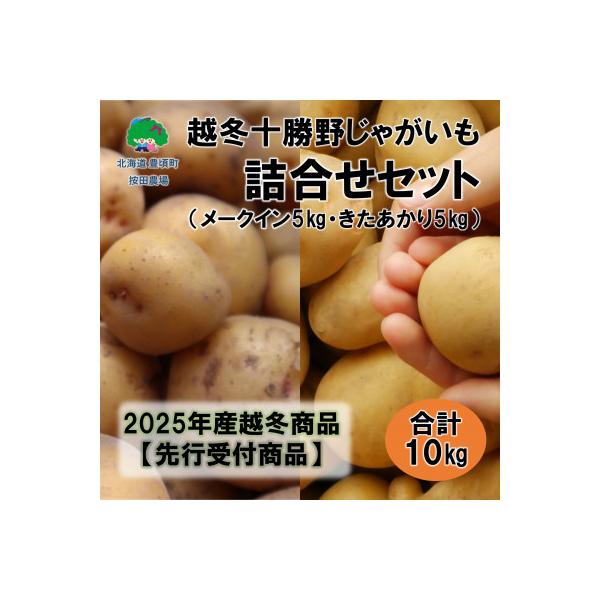 ■お礼品詳細　・配送種別：通常■お申し込み・配送・その他　・発送時期：2026/03/17〜2026/05/26　・申込受付期間：〜2026-03-09　・配達外のエリア：　・寄付証明書の送付時期目安：申込完了日から２週間程度　・提供元：一...