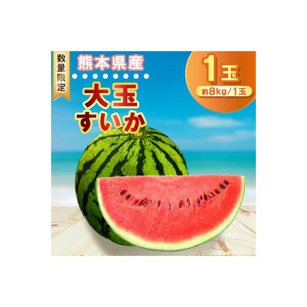 ■お礼品詳細　・配送種別：通常■お申し込み・配送・その他　・発送時期：2026-05-20〜2026-07-20（お届け時間帯指定可）　・申込受付期間：〜2026-06-15　・配達外のエリア：　・寄付証明書の送付時期目安：申込完了日から２...