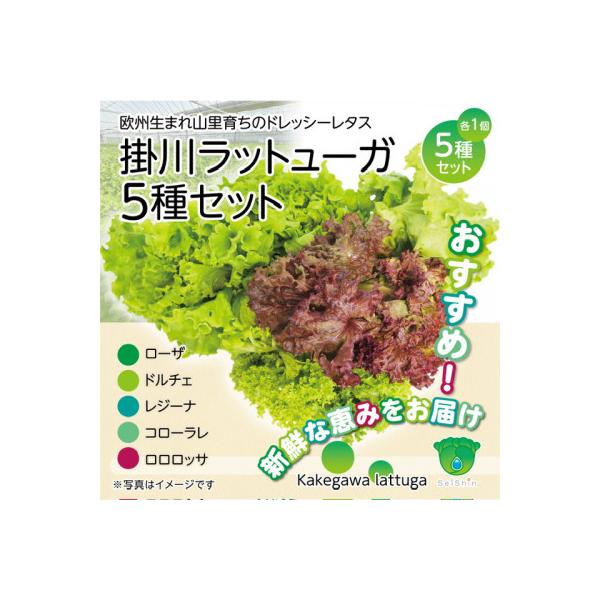 ■お礼品詳細　・配送種別：冷蔵便■お申し込み・配送・その他　・発送時期：2025-12-06〜2027-05-31（お届け時間帯指定可）　・申込受付期間：〜2027-05-26　・配達外のエリア：離島、北海道、沖縄県、四国、九州　・寄付証明...