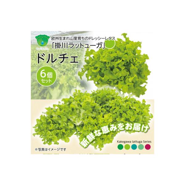 ■お礼品詳細　・配送種別：冷蔵便■お申し込み・配送・その他　・発送時期：2025-12-07〜2027-05-31（お届け時間帯指定可）　・申込受付期間：〜2027-05-26　・配達外のエリア：離島、北海道、沖縄県、四国、九州　・寄付証明...