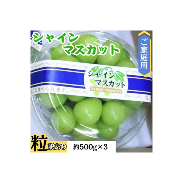 ■お礼品詳細　・配送種別：冷蔵便■お申し込み・配送・その他　・発送時期：2026/09/01〜2026/10/15（お届け時間帯指定可）　・申込受付期間：〜2026-09-30　・配達外のエリア：離島　・寄付証明書の送付時期目安：申込完了日...