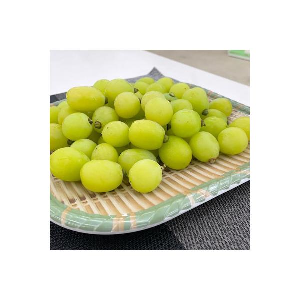 ■お礼品詳細　・配送種別：冷蔵便■お申し込み・配送・その他　・発送時期：2026-08-25〜2026-10-10（お届け時間帯指定可）　・申込受付期間：〜2026-09-20　・配達外のエリア：離島、沖縄県　・寄付証明書の送付時期目安：申...