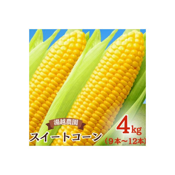 ■お礼品詳細　・配送種別：冷蔵便■お申し込み・配送・その他　・発送時期：2026-06-01〜2026-06-30（お届け時間帯指定可）　・申込受付期間：〜2026-06-10　・配達外のエリア：離島　・寄付証明書の送付時期目安：申込完了日...